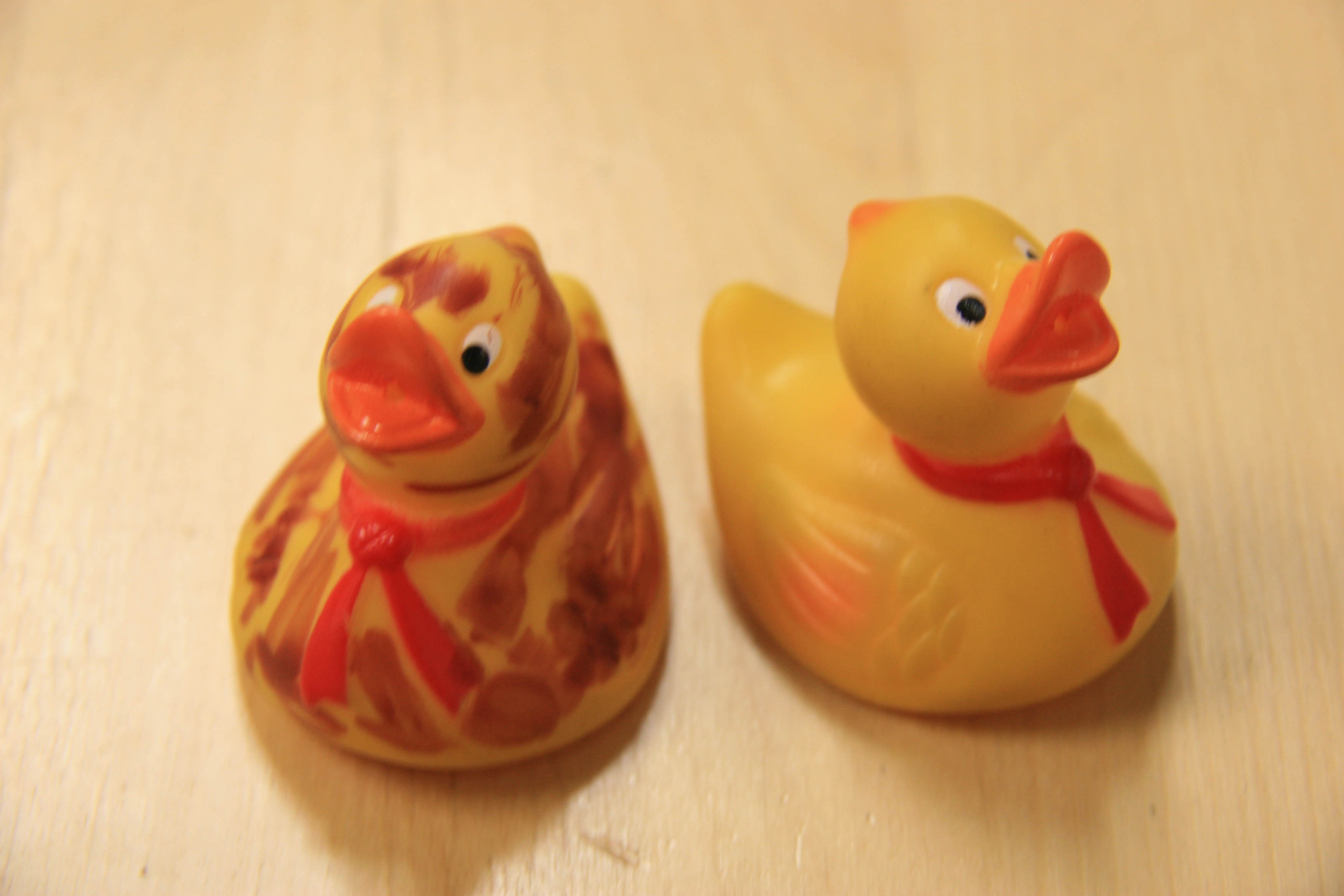 The “pair of ducks”