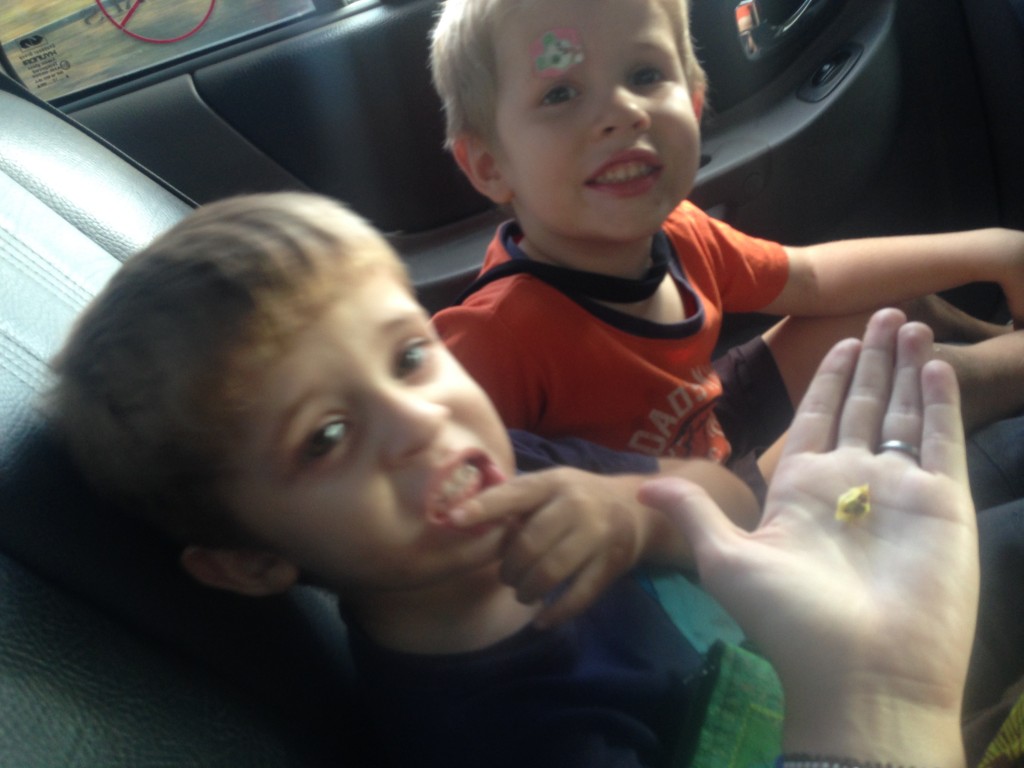 D-man and W-man got a special treat from our cab driver that day. An apple! They loved it so much they left the tiny stem and consumed everything else!