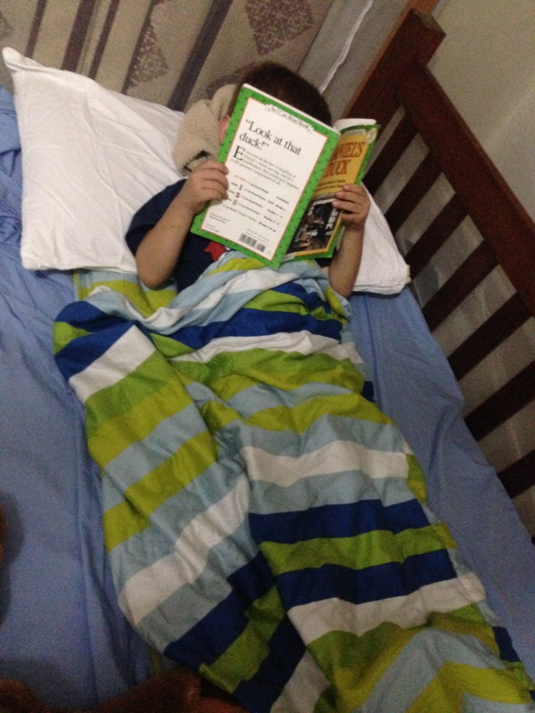 02.15-Someone gets stressed by packing so he curled up in his known blanket and read...good choice buddy!